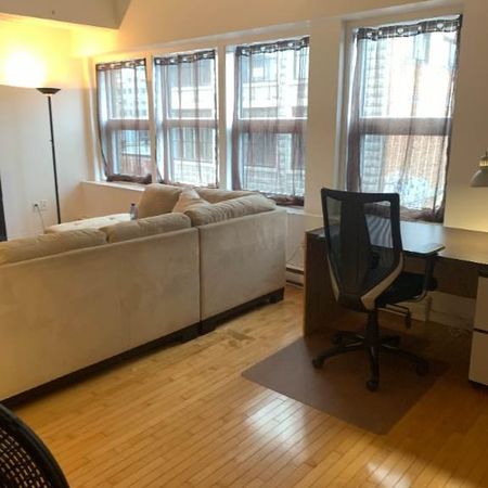 Disponible – Grand Loft 3 ½ tout inclus - Photo 4