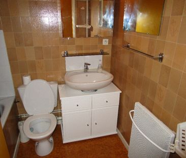 Location Appartement 1 pièce 28m² RENNES 35000 - Photo 4