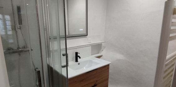 Appartement - 2 pièces - 24,17 m² - Laval - Photo 3