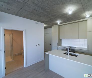 718-3045, boulevard de l'Assomption, Mercier / Hochelaga / Maisonneuve à louer - Photo 5