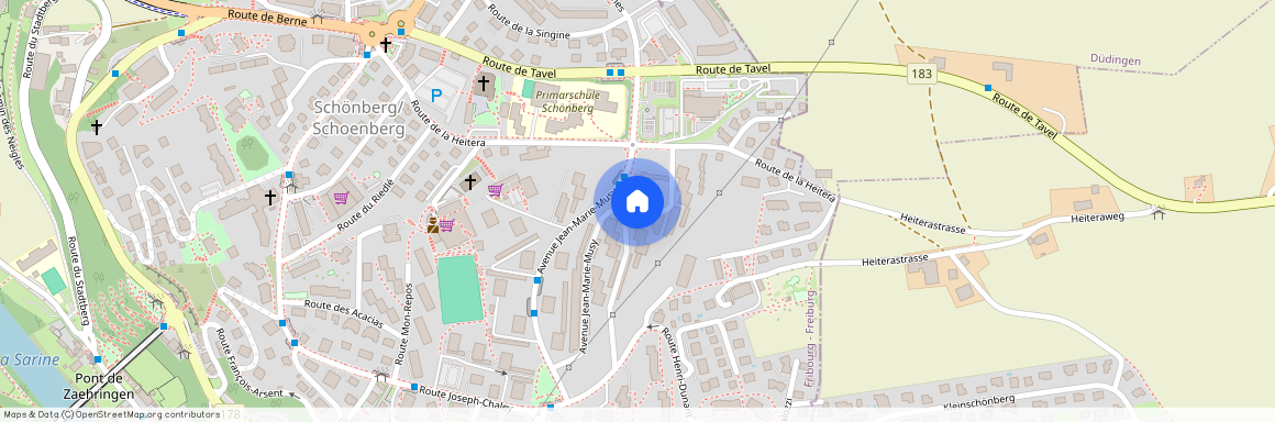 Avenue Jean-Marie-Musy 20, 1700, Fribourg