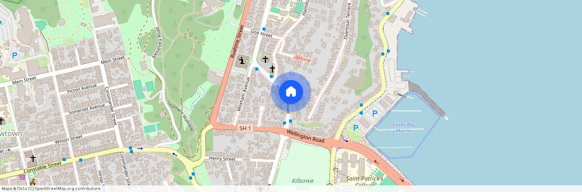 107 Hamilton Road, Hataitai, Wellington