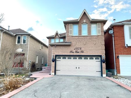For Lease - 4878 Rosebush Road Unit# Basement, Mississauga, Ontario - Photo 4