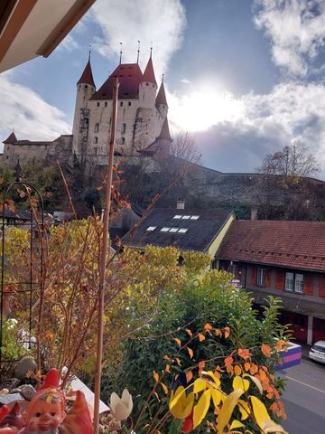APPARTEMENT D’UNE PIÈCE À THUN (BE), MEUBLÉ, TEMPORAIRE - Foto 3