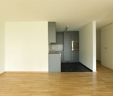 2.5 Zimmer, EG - Photo 2