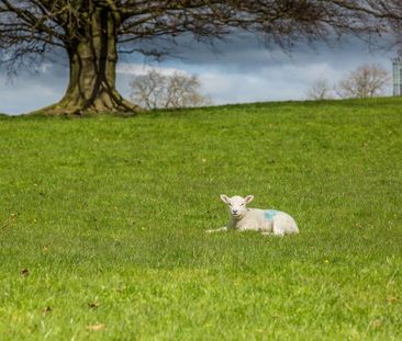 1 bedroom serviced apartment to rent - Photo 5