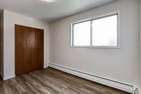 Renovated Suite - 1 Bedroom - Photo 5