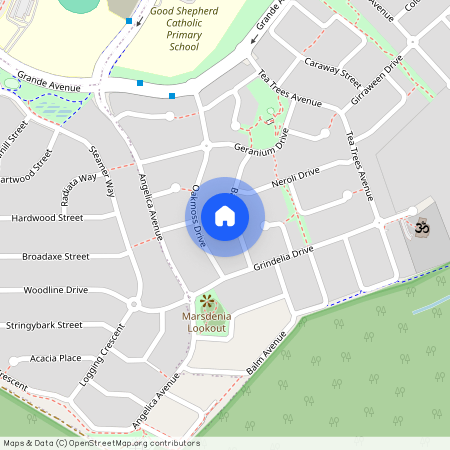 23 Basil Street, Springfield Lakes QLD 4300