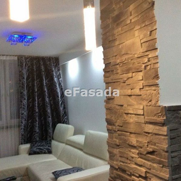 EFS-MW-100 Mieszkanie na wynajem - Zdjęcie 1