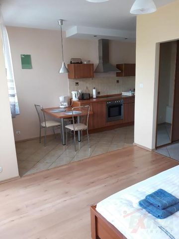 MIESZKANIE na WYNAJEM SZCZECIN (406101) - Photo 3