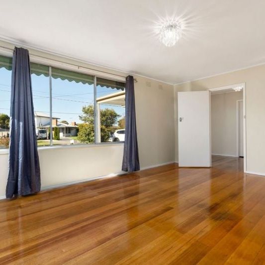 14 Carinya Avenue, Newcomb - Photo 1