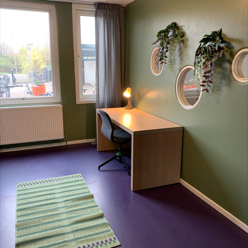 Thomsons väg 30 A, Kryddgården - Foto 1