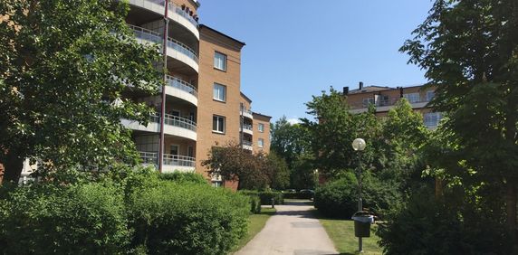 Prästgatan 32, 75228, Uppsala - Photo 2