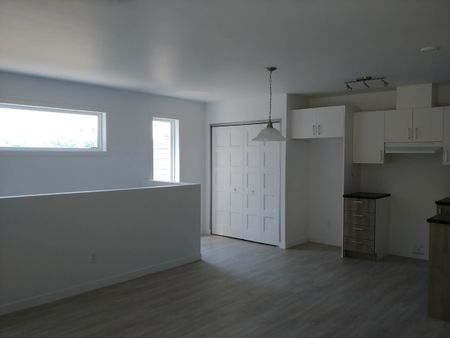 4½ — 402-1497 rue Conseil - Photo 4