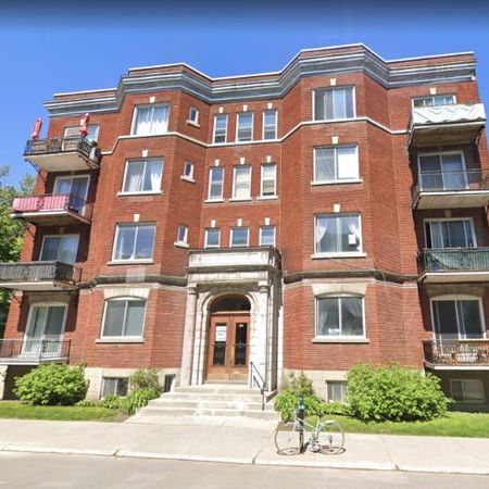 5 1/2 - Montréal (Outremont) - 2 360 $/mois - Photo 4