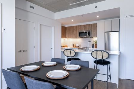 Condo for rent, Montréal (Ville-Marie) - Photo 3