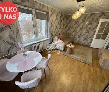 Kawalerka w Podjuchach na wynajem - Photo 2