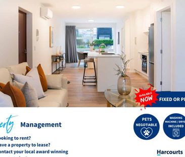 3/3 Karoro Court Hobsonville - Kokowai - Photo 4