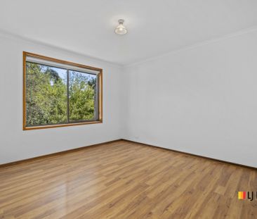 Charming 3-Bedroom Home in Prime Holt Location - Photo 4