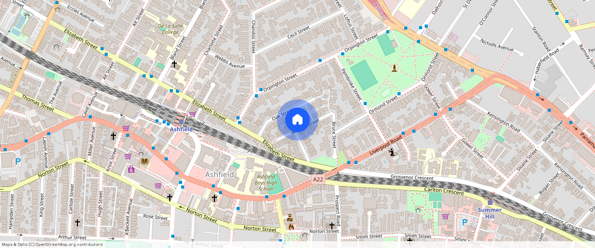 16 Wallace Street Ashfield