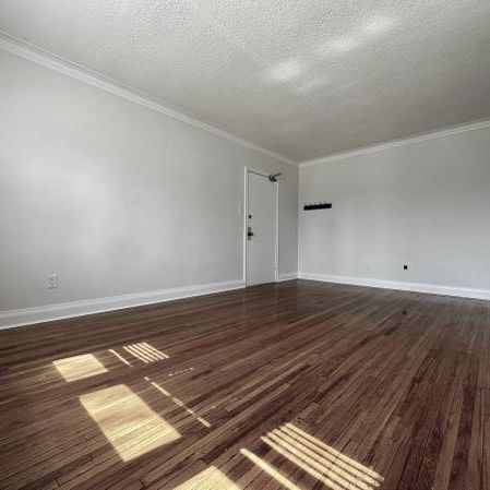 41 Arcadian Circle #5 - Bright & Spacious 2 Bedroom near the Lake! - Photo 1