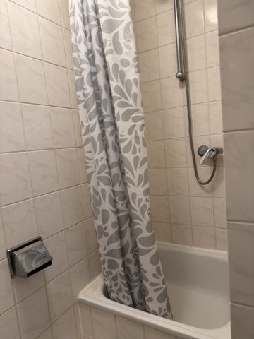 Möbliertes 1 Zimmer Apartment in Hauptbahnhofsnähe - Photo 4