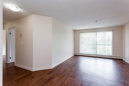 Chelsea Park Apartments - Photo 4