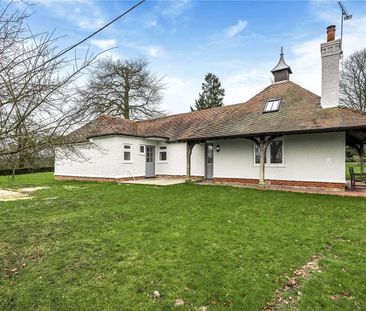 Newly renovated 3 bedroom bungalow situated in sought after location. - Photo 3