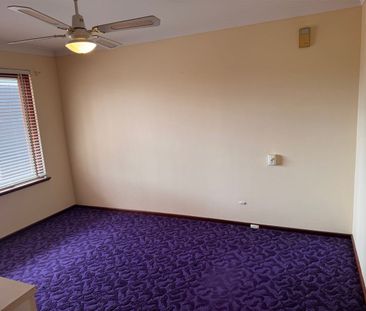 A Retro Rarirty - Photo 2