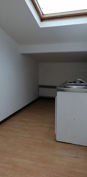 Location Appartement 1 pièce 15m² TOURCOING 59200 - Photo 1