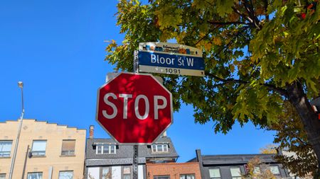 For Lease - 519 Gladstone Avenue Unit# #1 Basement, Toronto, Ontario - Photo 5