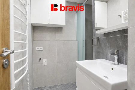 Pronájem bytu 2+1 ul. Řezáčova, Brno-Komín, šatna, sklep, po rekonstrukci - Photo 4