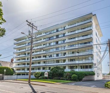 Beacon Tower - 1 Bedroom 55+ Building - Available Now - Photo 2