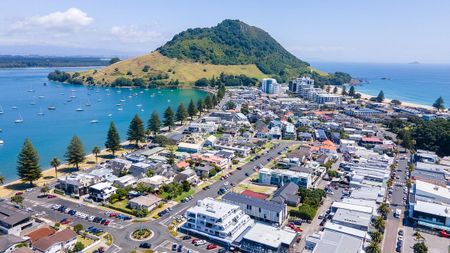Sunny, central, secure 2-bd apt - Mt Maunganui - Photo 5