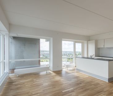 Lys og rummelig lejlighed med unik udsigt i Aalborg - Photo 3