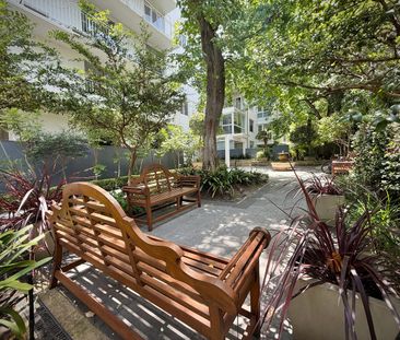 Gorgeous inner city apartment in leafy street - Photo 5