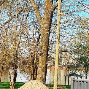 Maison TOUT COMPRIS vue sur le Richelieu/ TRANQUILLE + Très Grand 2260 PC LIBRE DECEMBRE a St Mathias ( près de Chambly et St Hilaire ) A VOIR - Photo 2