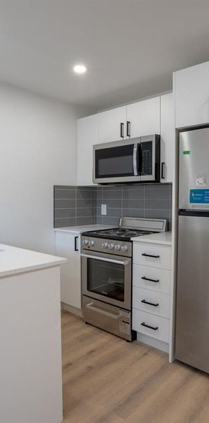 3-1/2 - 3915 Rue Masson, Montréal - Photo 1