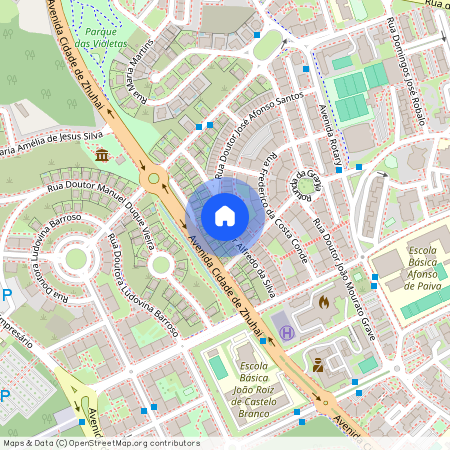 Rua Dr Alfredo da Silva, Castelobranco