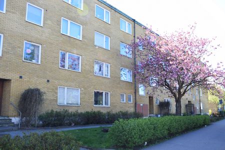 Arvid Lindmansgatan, Göteborg - Foto 3
