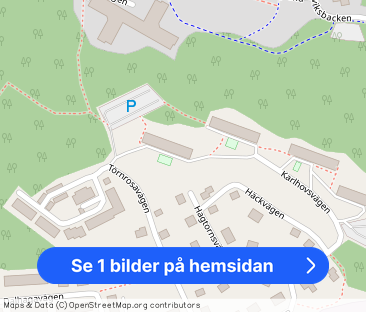 Törnrosavägen 18 - Foto 1