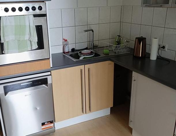 Helle 2 Zimmer-Wohnung, 63 qm, Balkon, große Küche, Diele, Bad, Ecke Wittener/Lindenhauser Str. - Foto 1
