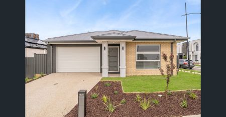 **RECEIVE ONE MONTH FREE RENT, ASK US HOW!!! Brand-New 3-Bedroom Home for Lease in Thriving Fraser Rise - Photo 3