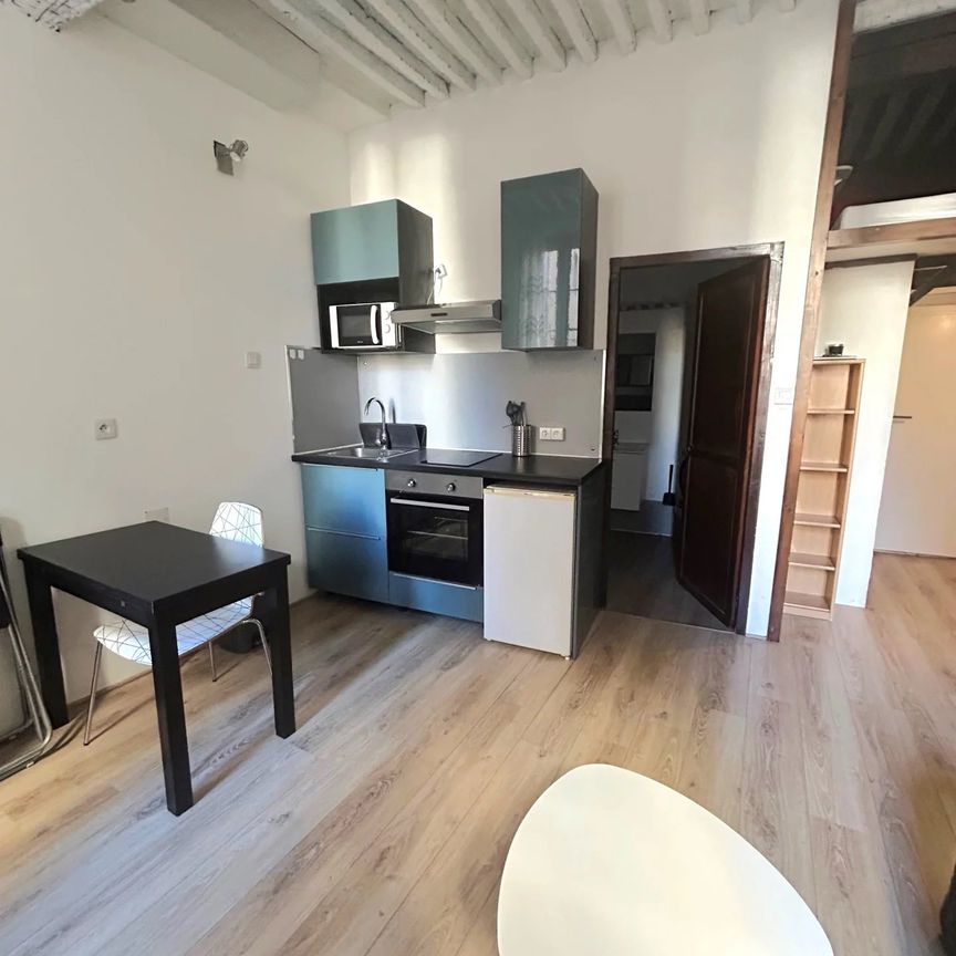 Location Appartement 1 pièce 23m² AIX EN PROVENCE 13100 - Photo 1