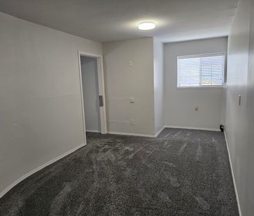 Spacious Basement Suite - Photo 2