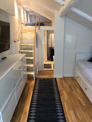 Borgen, Sigtuna - Photo 1