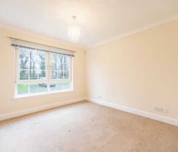 Braid Avenue - Photo 2