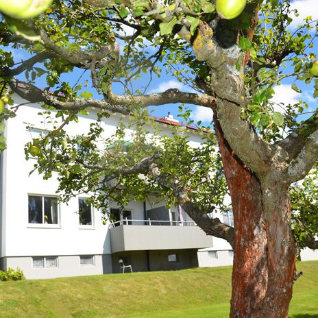 Ostdalsgatan 31 A, Motala – 1 r.o.k – 50 kvm - Photo 2