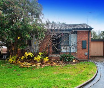 Two Bedroom Unit Perfectly Positioned in the Heart of Ringwood East - Photo 6