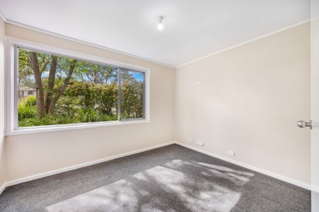 18 Aurora Close, Mawson ACT 2607 - House For Rent | Domain - Photo 5